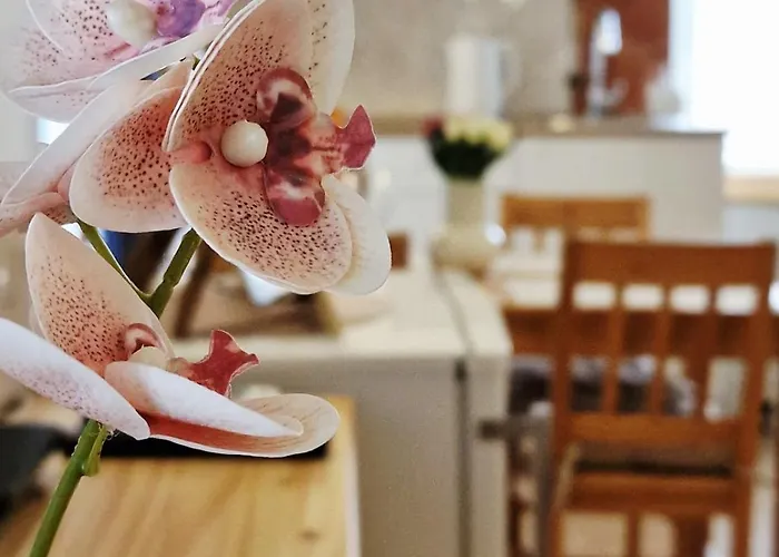 In The Centre Of 特罗吉尔